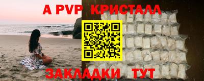 стаф Кингисепп