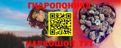 стаф Кингисепп