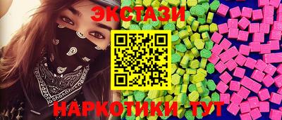 стаф Кингисепп