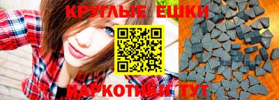 стаф Кингисепп