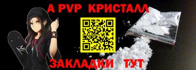 стаф Кингисепп