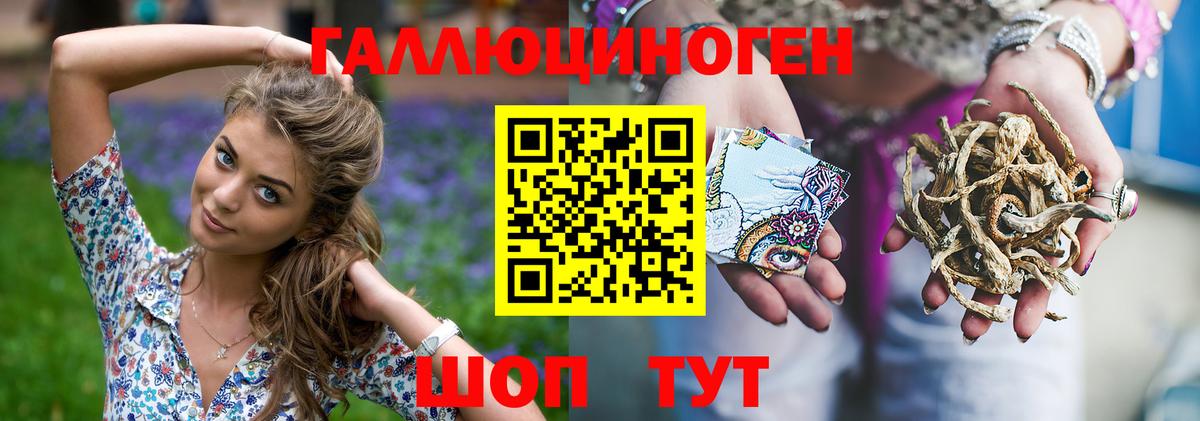 купить закладку  Вход с VPN  Красноармейск  Псилоцибиновые грибы GOLDEN TEACHER 